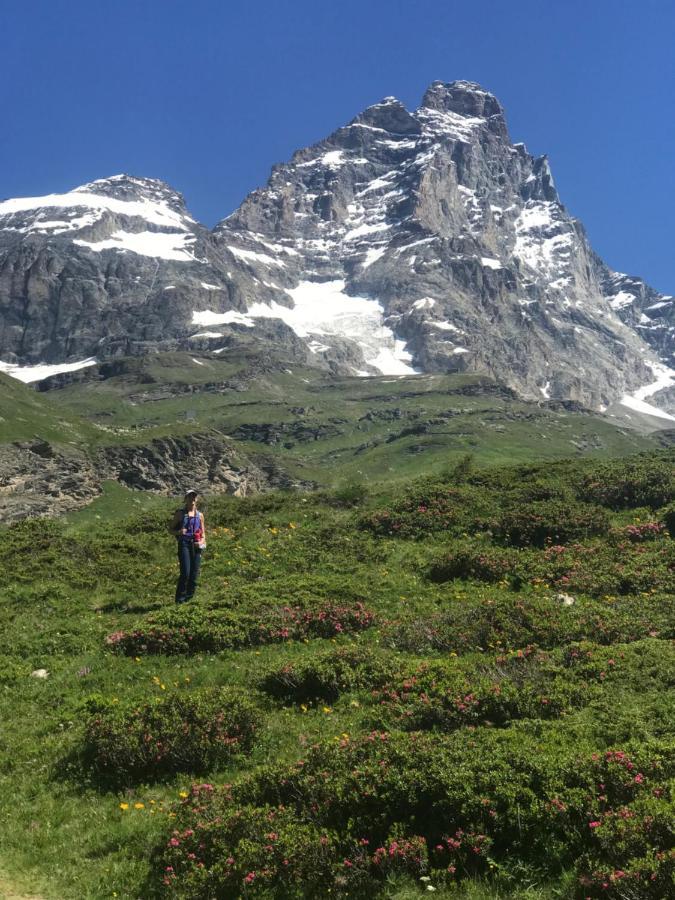 Piccolo Paradiso In Centro Cervinia Breuil-Cervinia Εξωτερικό φωτογραφία